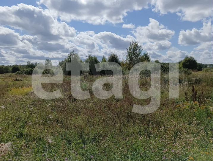 Участок 8,19 га (ИЖС)