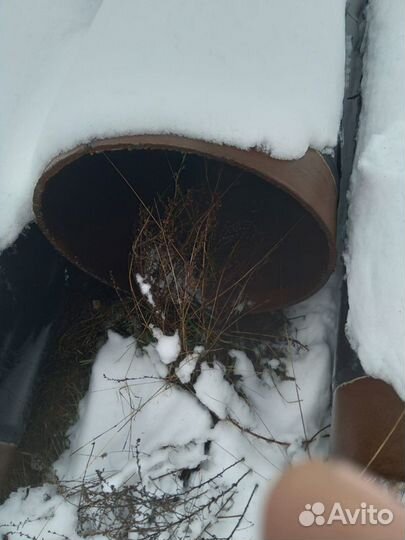 Труба ф530х8 (отвод ог 12)