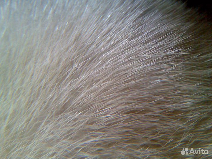 Берет норковый фабричный СССР