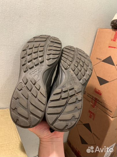 Ботинки мужские 44 размер ecco