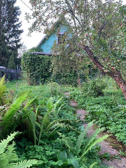 Дача 40 м² на участке 8 сот.