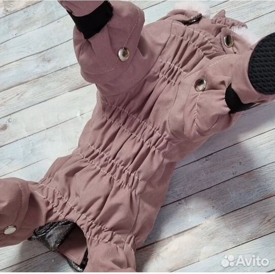 Одежда для собак