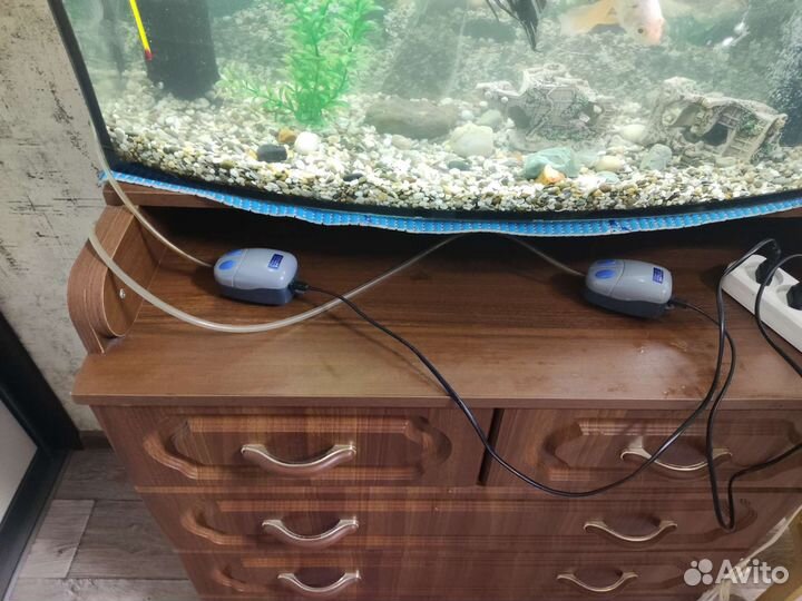 Аквариум с рыбками