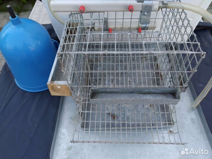 Клетка для содержания перепелов