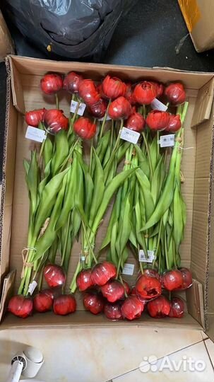 Тюльпаны Villeroy&Boch