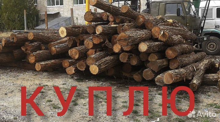 Дрова