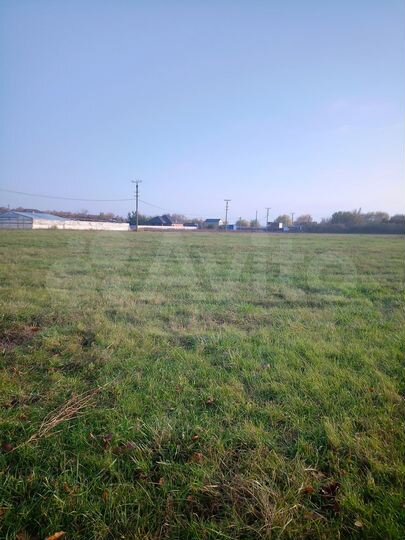 Участок 1,63 га (СНТ, ДНП)