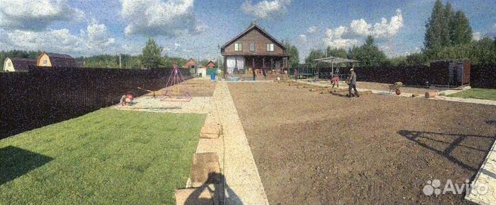 Продажа рулонного газона