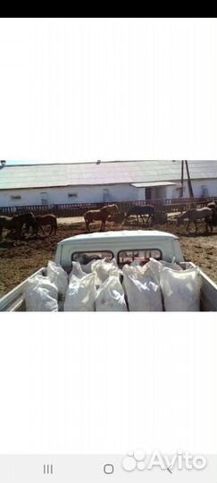 Навоз конский доставка бесплатная