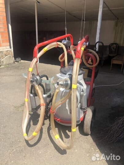 Доильный аппарат для коров