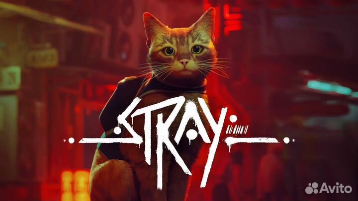 Stray на PS4 и PS5