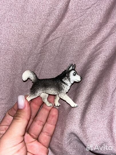 Собачка хаски schleich