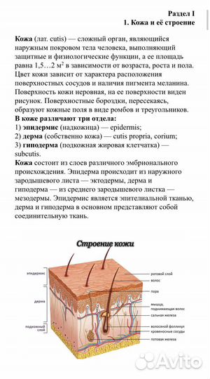 Учебное пособие по перманентному макияжу