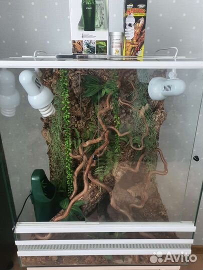 Террариум для рептилий(хамелеон)