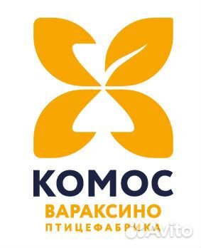 Рабочий по уходу за цыплятами