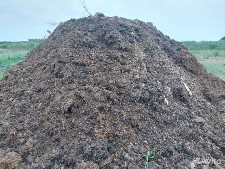 Конский навоз