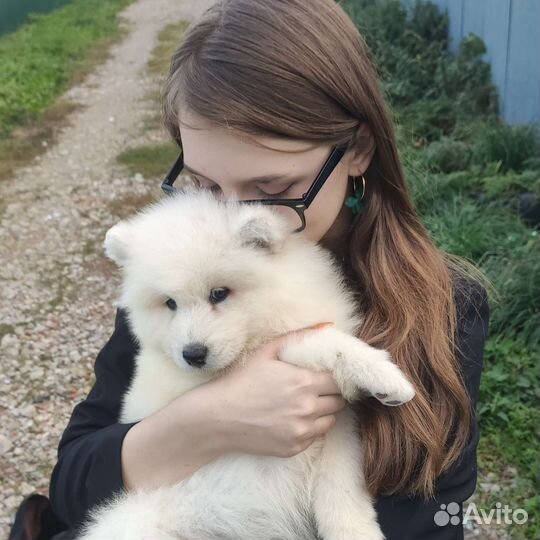 Кинолог Зоопсихолог