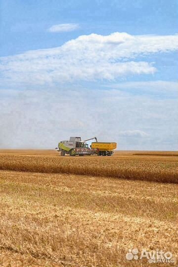Бункер Bonum БП-1000, 2024