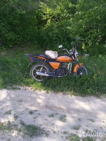 Racer RC110N