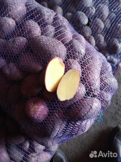 Продам картофель с доставкой