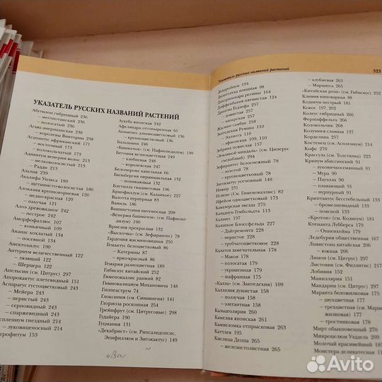 Энциклопедия комнатных растений