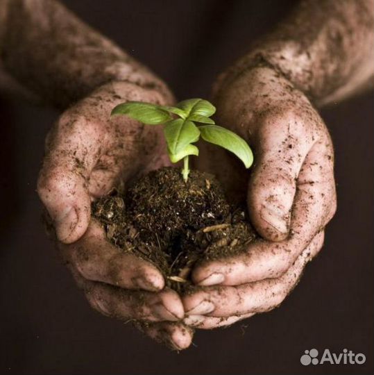 Песок щебень доставка