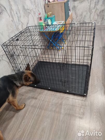 Продам клетку для собак номер 6,размер 120*79*83