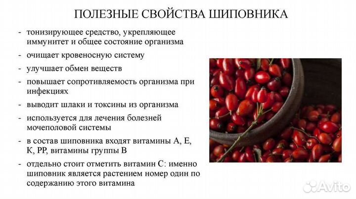 Шиповник сушеный