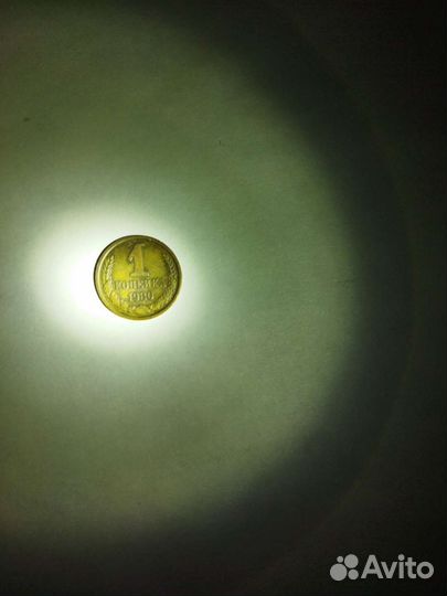 1 копейка 1980 года (длинные ости)