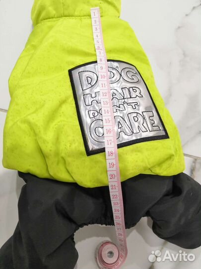 Одежда для маленьких собак