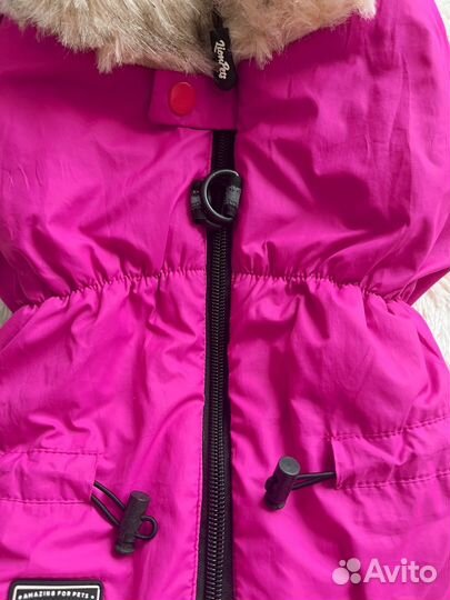 Комбинезон самка