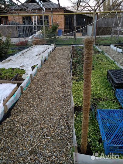 Опора для растений