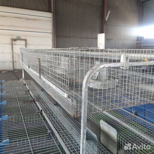 Клетки для кроликов
