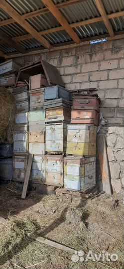 Ульи для пчёл