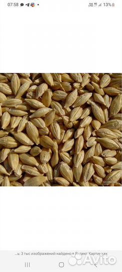 Зерно, ячмень,овес, пшеница