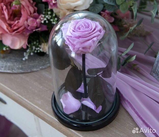 Роза в колбе. Стоит до 8 лет