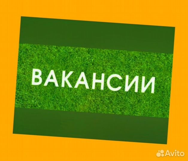 Наборщик заказов Без опыта Еженедельные выплаты
