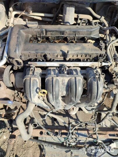 Двигатель Ford Focus qqdb 2008