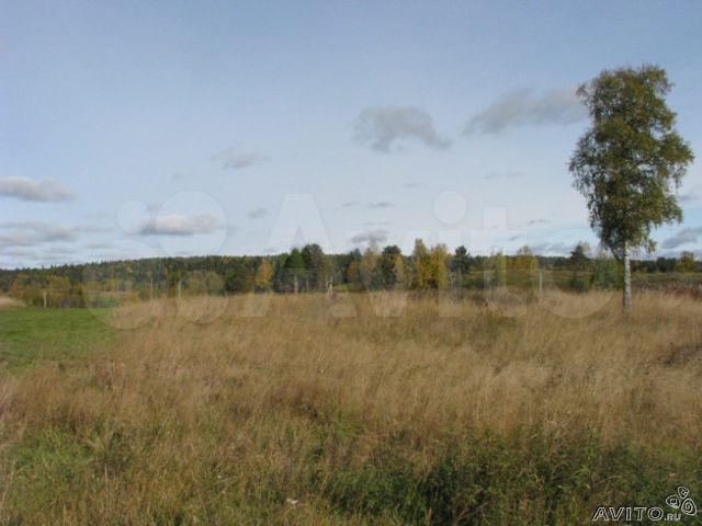 Участок 5 га (СНТ, ДНП)