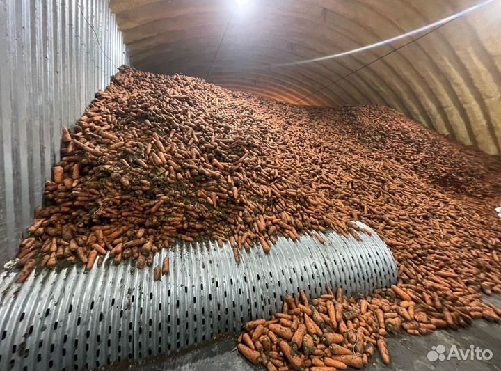 Климатическое оборудование холодильное,вентилияция