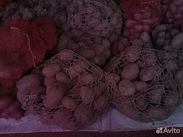 Продам картофель домашний