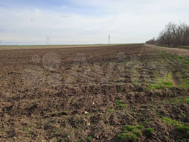 Участок 4 га (СНТ, ДНП)