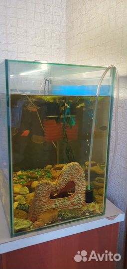Аквариум с рыбками