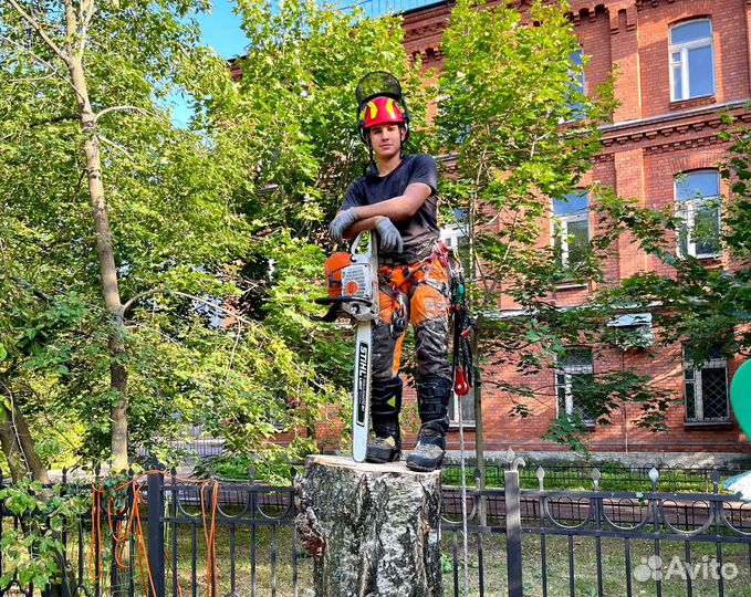 Спил аварийных деревьев, спилить дерево частями