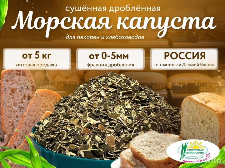Морская капуста. Ламинария. Опт от 5 кг