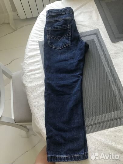 Орхидея брассия