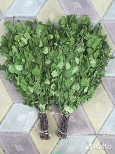 Веники березовые для бани