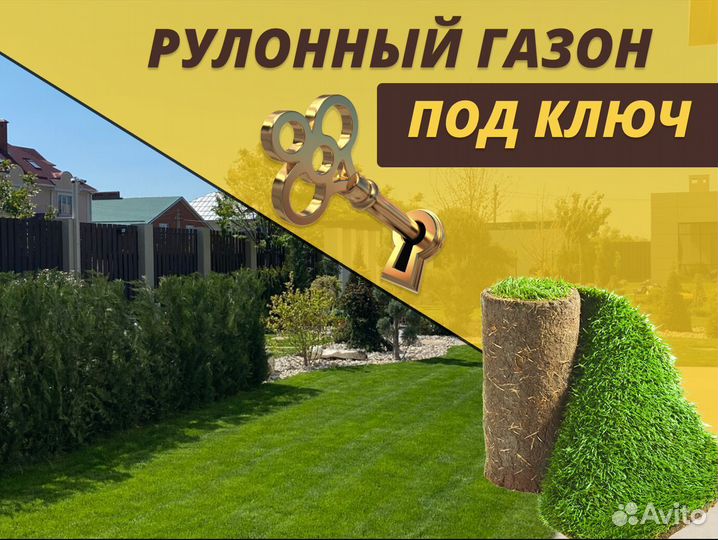 Рулонный газон с укладкой