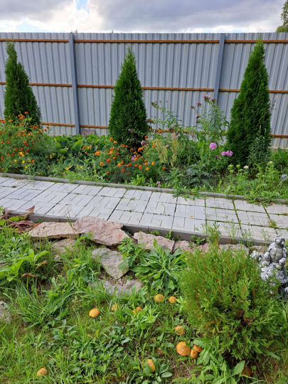 Дом 80 м² на участке 15 сот.