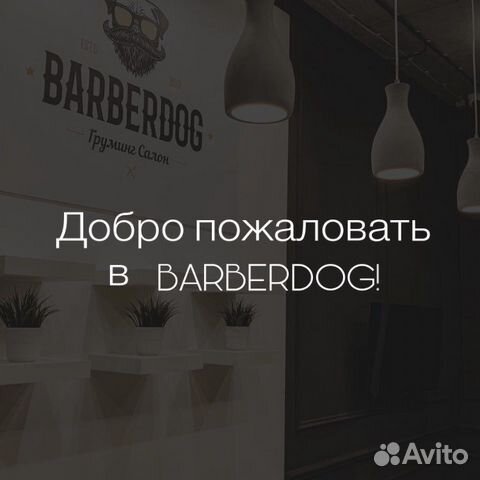 Груминг салон barberdog